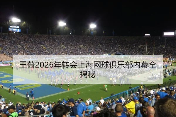 王蔷2026年转会上海网球俱乐部内幕全揭秘